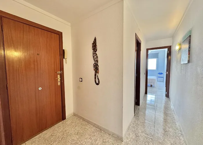 Ramon Y Cajal רוזס